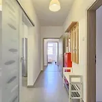 Apartment Spagnolo Pula